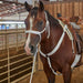 NRS Tack Mule Tape Breast Collar