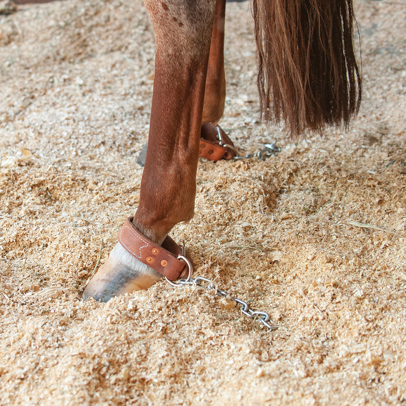 Martin Saddlery Saddlery Kickchain