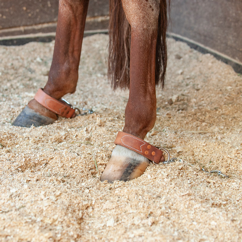 Martin Saddlery Saddlery Kickchain