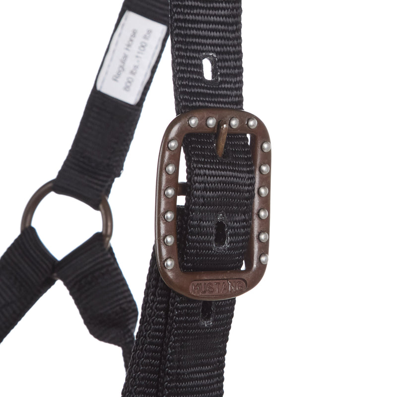 Kk Leathers Hawaiian Floral Bronc Halter
