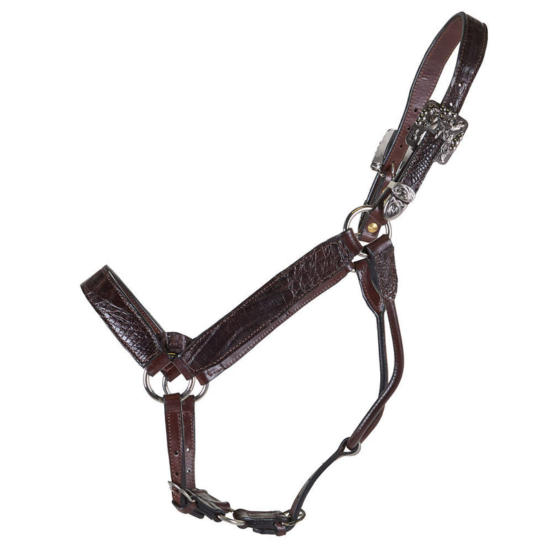 Kathys Show Equipment Genuine Caiman Leather Show Halter