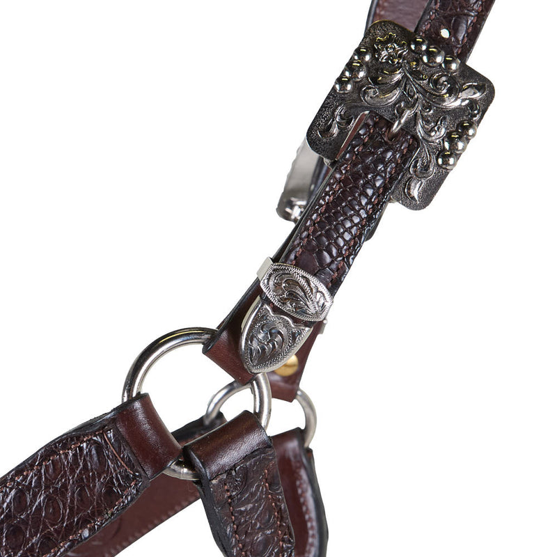 Kathys Show Equipment Genuine Caiman Leather Show Halter