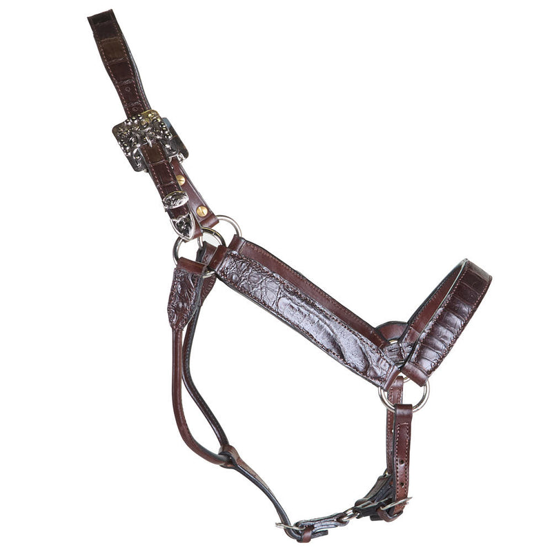 Kathys Show Equipment Genuine Caiman Leather Show Halter