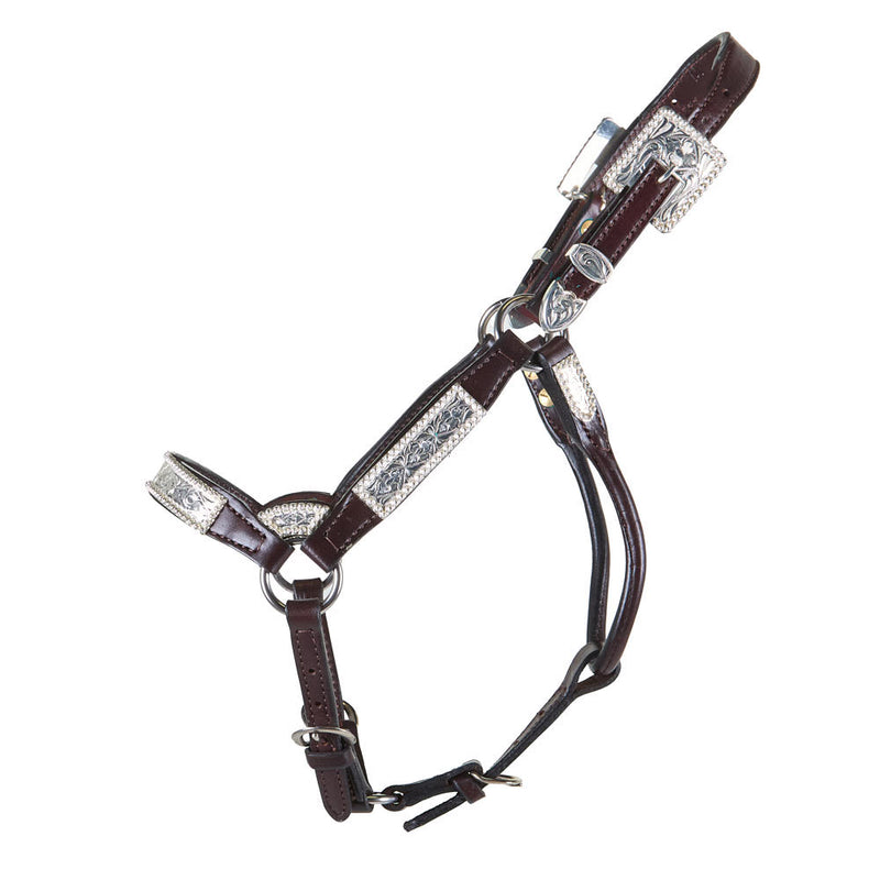 Kathys Show Equipment Santana Weanling Congress Cut Show Halter