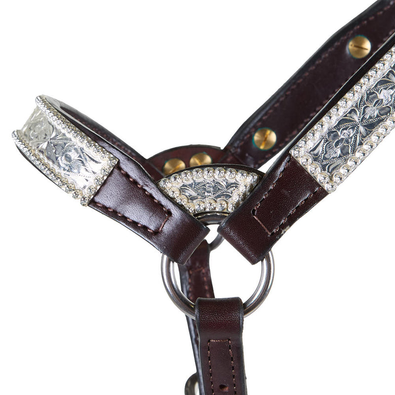 Kathys Show Equipment Santana Weanling Congress Cut Show Halter