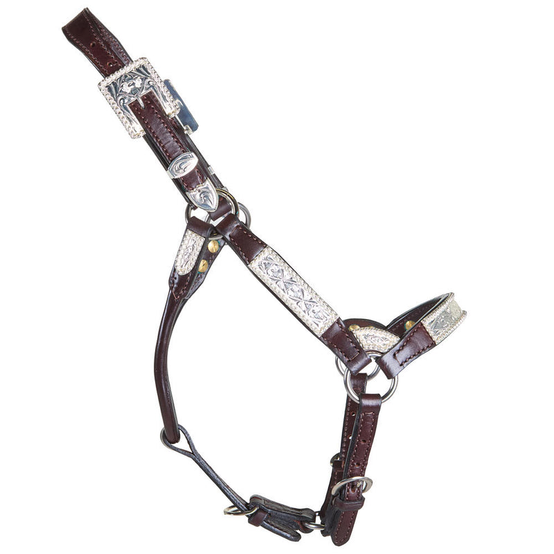 Kathys Show Equipment Santana Weanling Congress Cut Show Halter