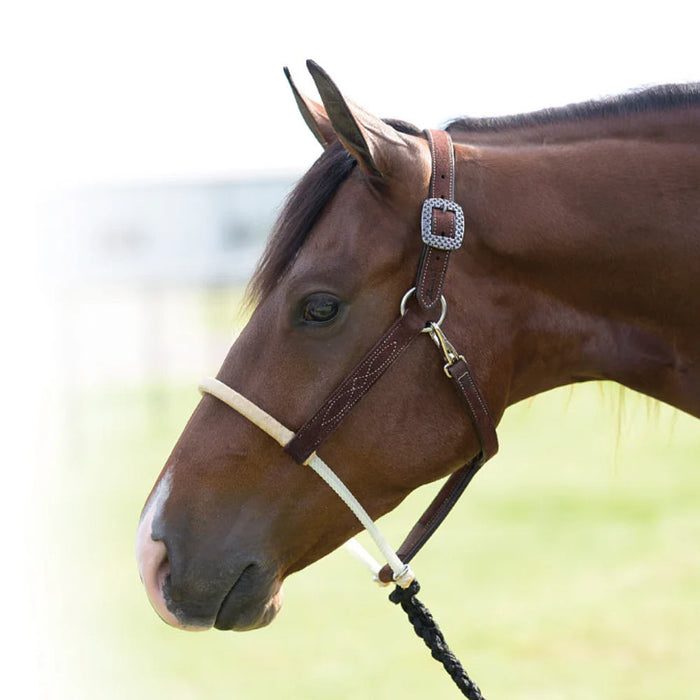 Professionals Choice Rawhide Wrapped Double Rope Noseband Chocolate Roughout Leather Horse Halter