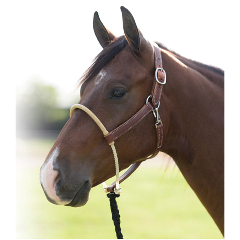Professionals Choice Rawhide Wrapped Single Rope Noseband Leather Ranch Horse Halter