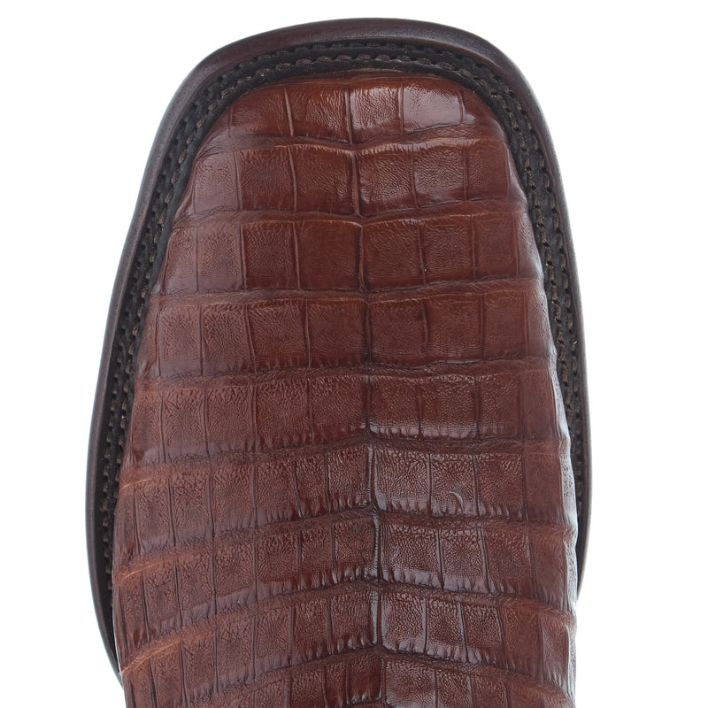 Tecovas Men`s William Dark Pecan Caiman Vamp 12In Bovine Stout Top Boot