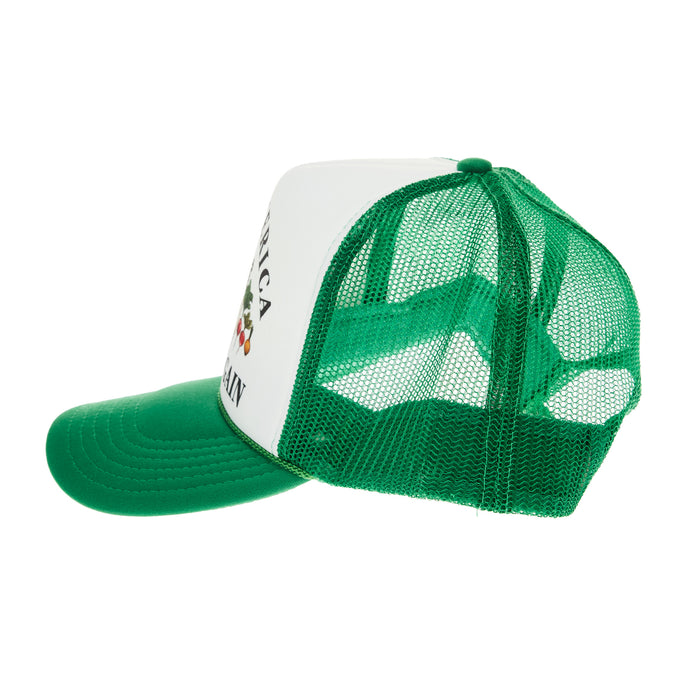 Wild Junkie Women's Make American Healthy Again Cap