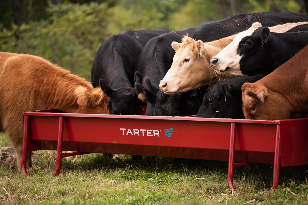 Tarter 10ft Heavy Duty Metal Grain Feeder