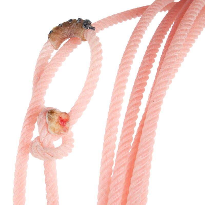 Cactus Ropes Mini Thrill CoreTX 36ft Heel Rope