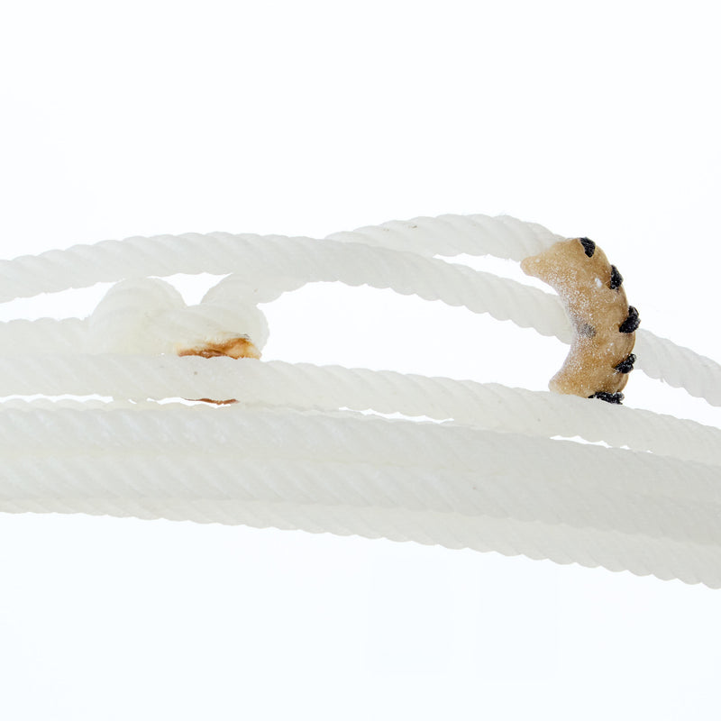 Cactus Ropes Mojo 36ft Heel Rope