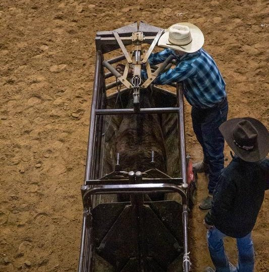 Tarter Manual Roping Chute - Economy