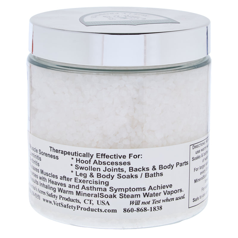 Americas Acres Dead Sea Salt Mineral Soak 24oz