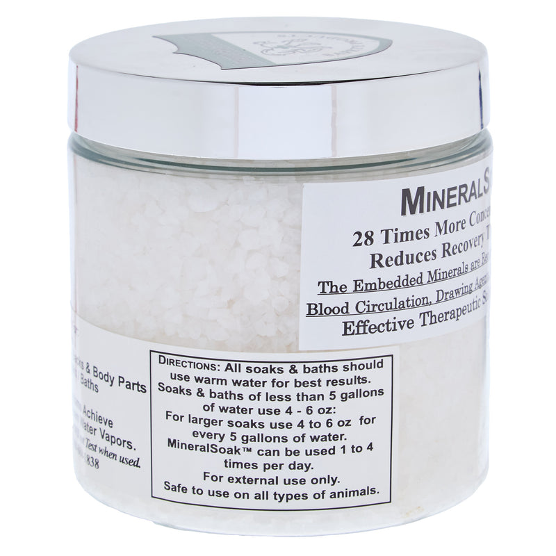 Americas Acres Dead Sea Salt Mineral Soak 24oz