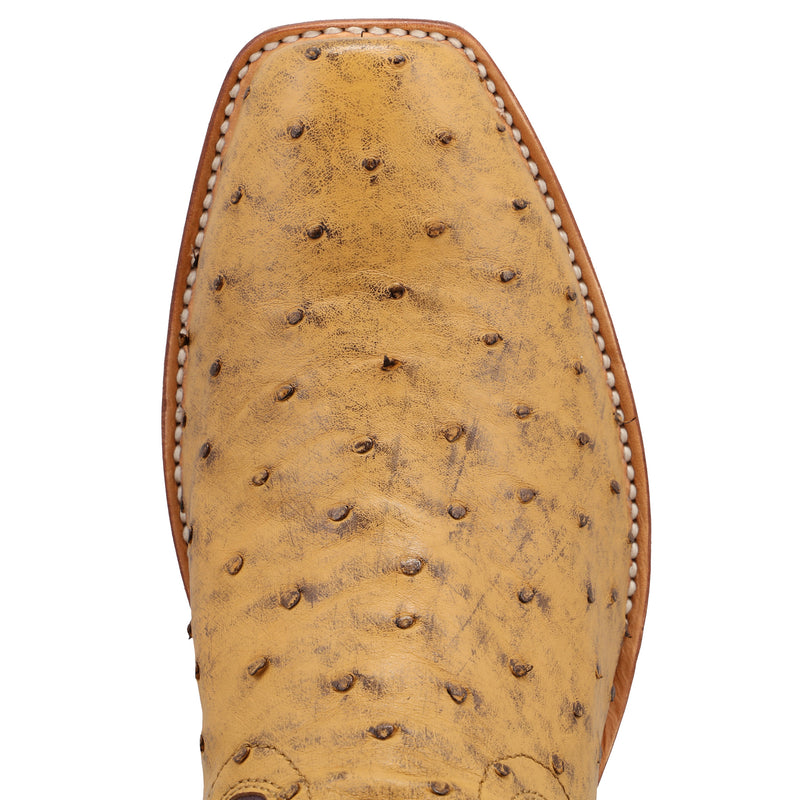 Twisted X Mens Reserve Honeycomb Full Quill Ostrich Vamp 13in Eggplant Top