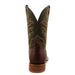 Twisted X Men's Tech3 Brown Vamp with 11in. Olive Shaft Cowboy Boot
