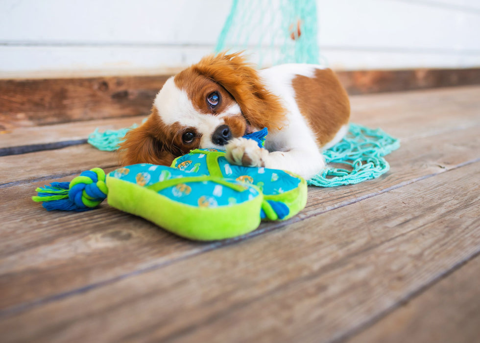 Multipet Margaritaville Flip Flop Rope