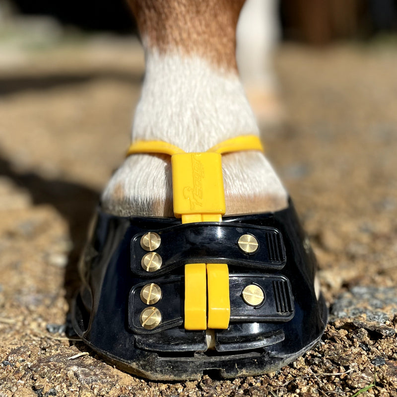 Scoot Boot Mud Straps Pack