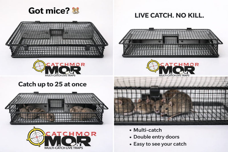 Rugged Ranch Mousinator Mouse Trap