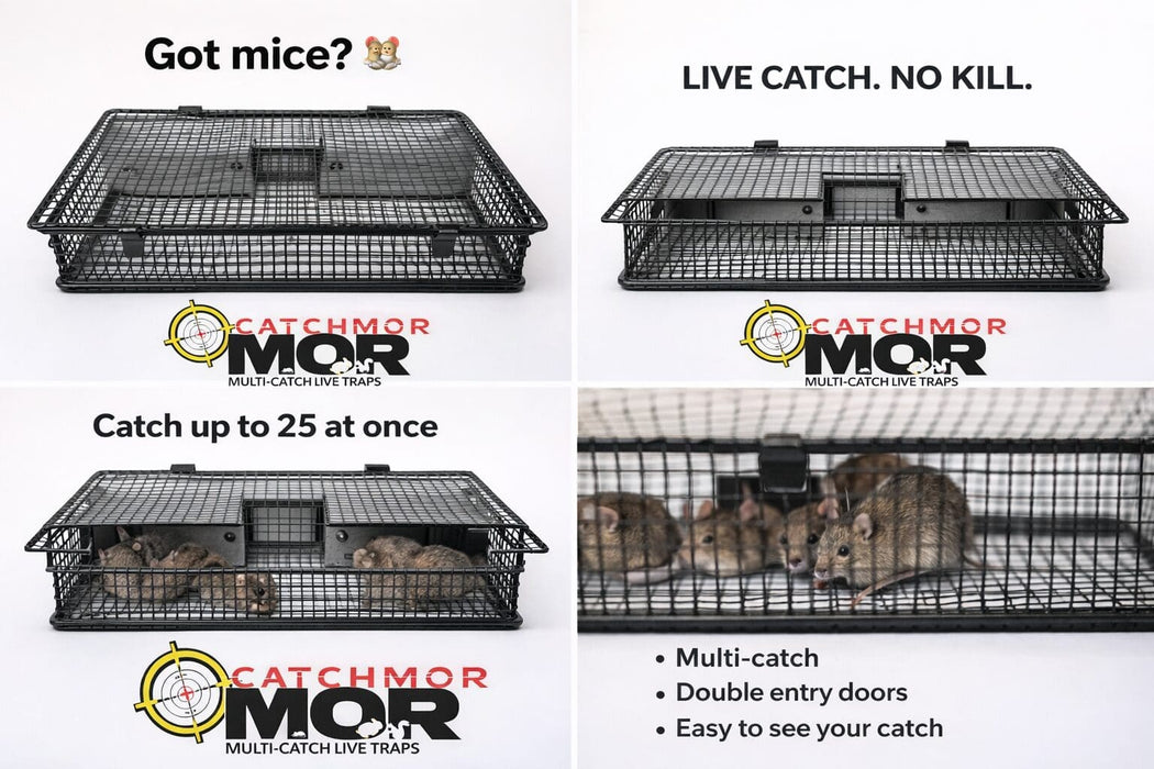 Rugged Ranch Mousinator Mouse Trap
