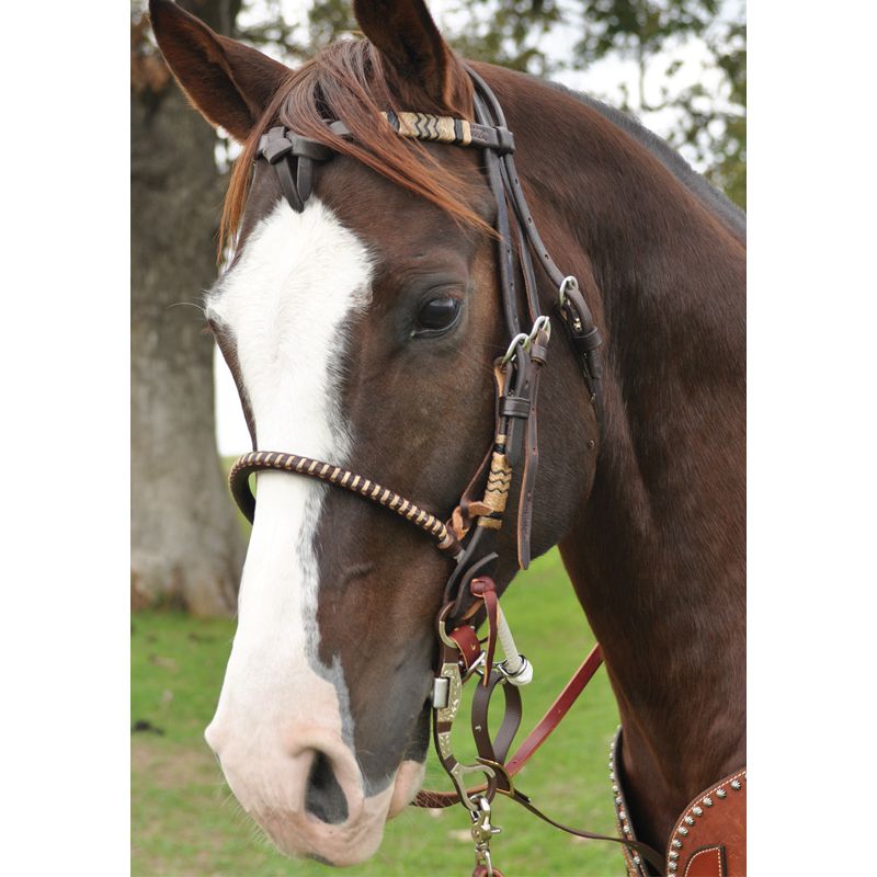 Martin Saddlery Chocolate Single Rope Noseband