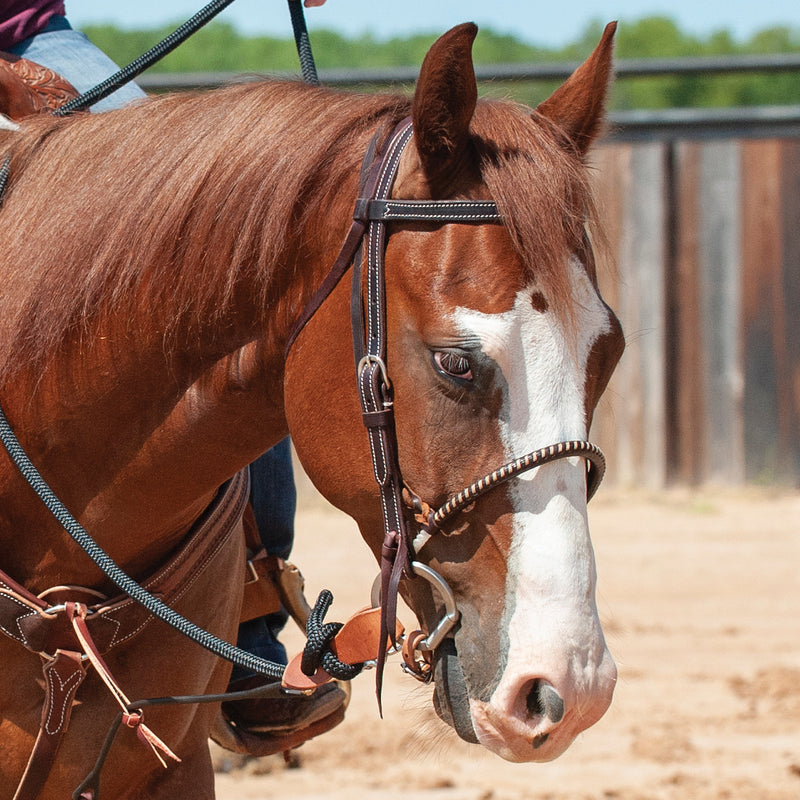 Martin Saddlery Chocolate Single Rope Noseband