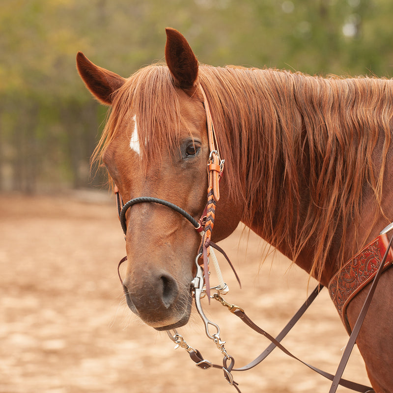 Martin Saddlery Single Rope Shrink Tube Covered Noseband