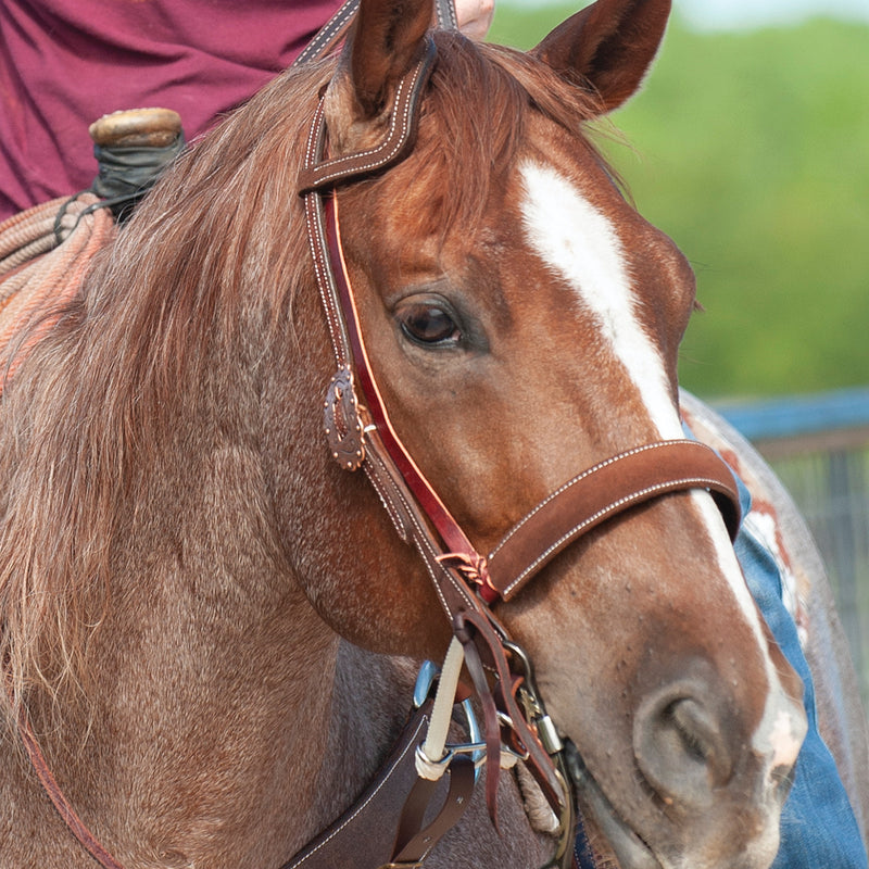 Martin Saddlery Chocolate Leather Covered Double Rope Noseband