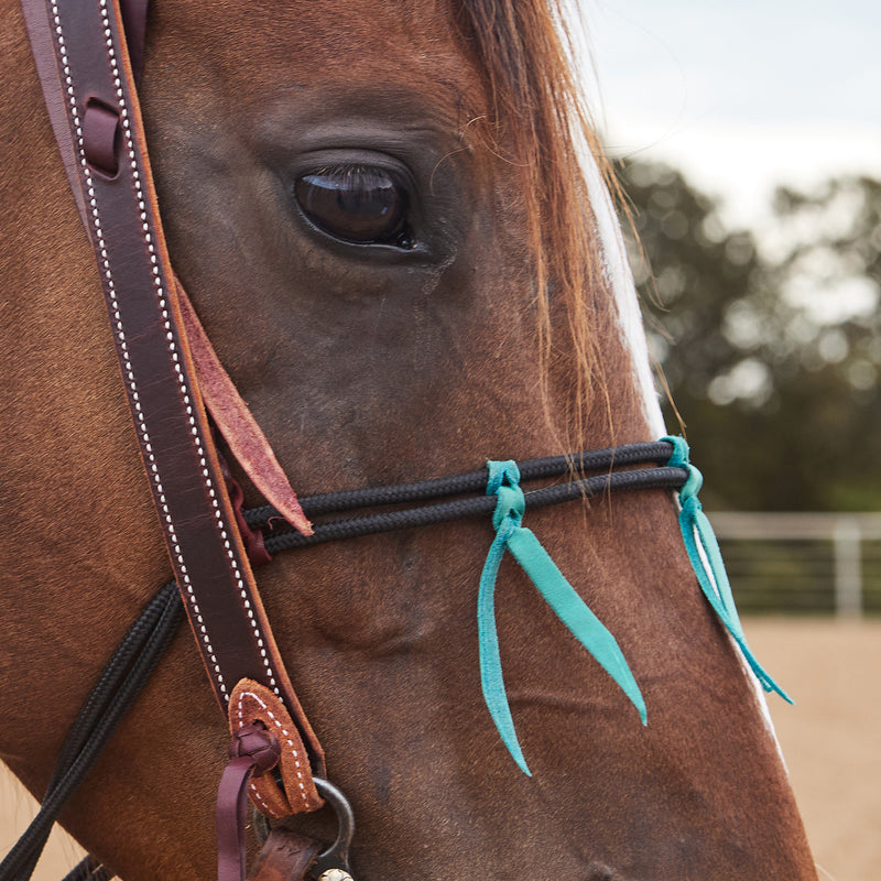 Cowboy Tack Double Diamond Braided Rope Noseband with Turquoise Latigo Ties