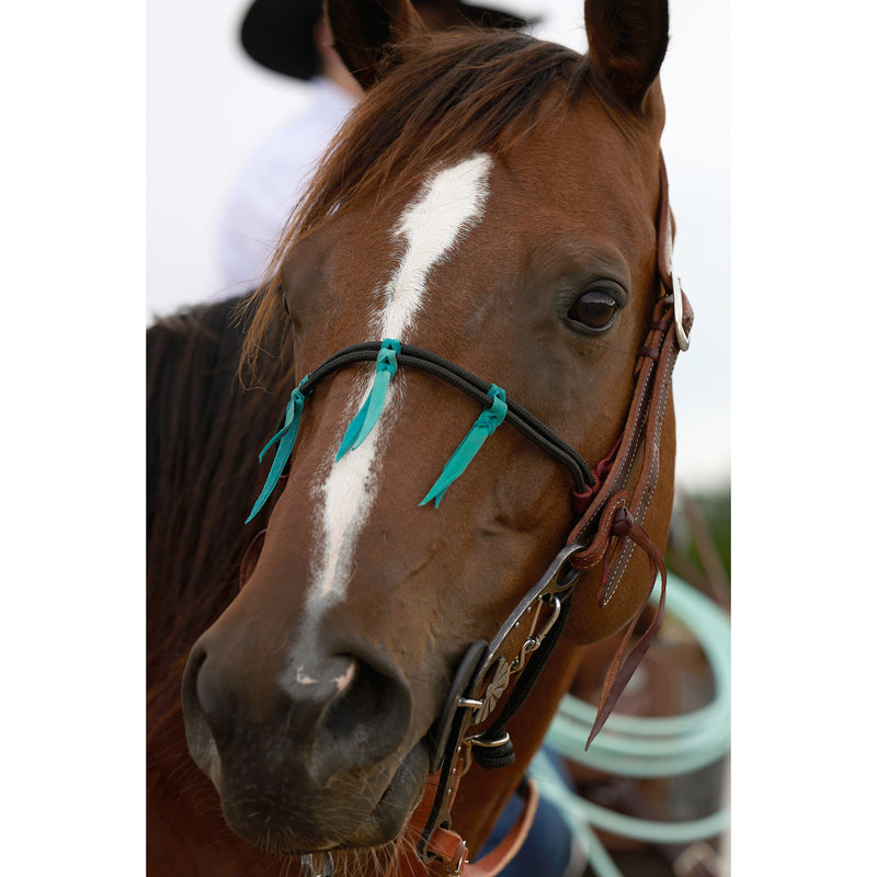 Cowboy Tack Double Diamond Braided Rope Noseband with Turquoise Latigo Ties