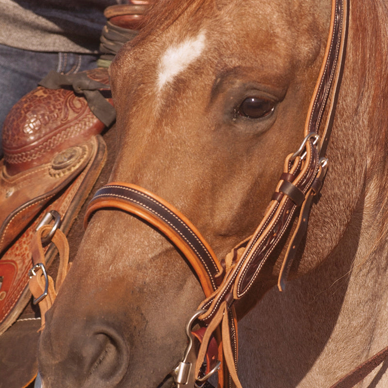 Martin Saddlery Natural Harness Leather Noseband