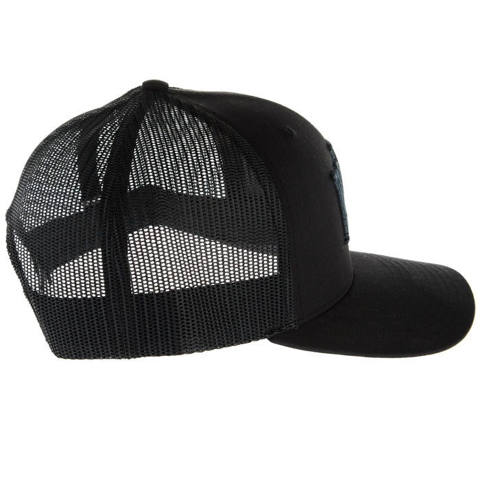 NRS Black With Black 3D Logo Cap