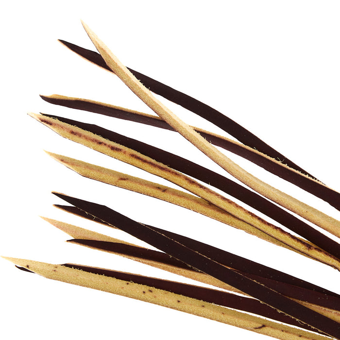 NRS Tack 12 Pack 1/4in x 1/2in Indian Tan Tie End Replacement Strings