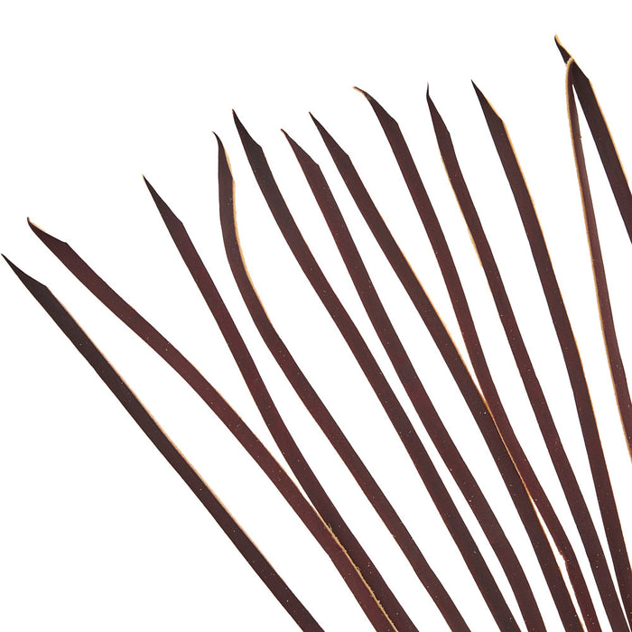 NRS Tack 12 Pack 1/4in x 1/2in Indian Tan Tie End Replacement Strings