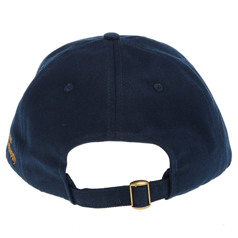 NRS Logo Blue Dad Cap