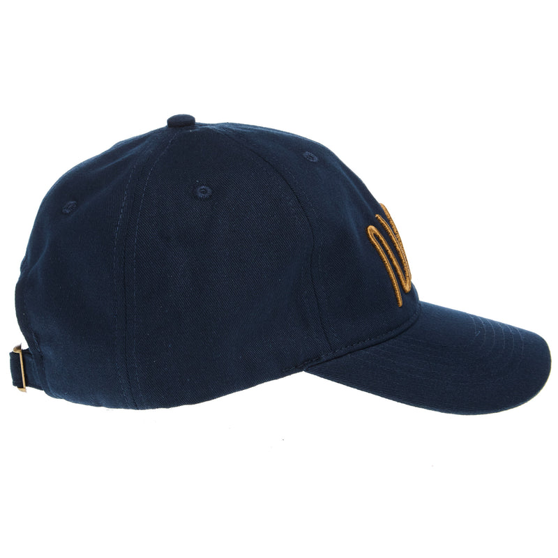 NRS Logo Blue Dad Cap