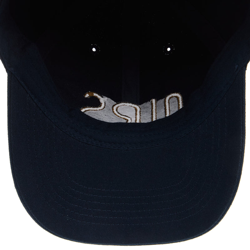 NRS Logo Blue Dad Cap