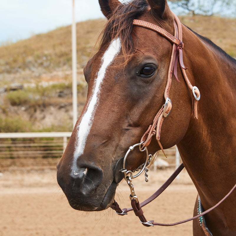 NRS TACK Natural 5/8 Inch Gag Cheek Browband Headstall