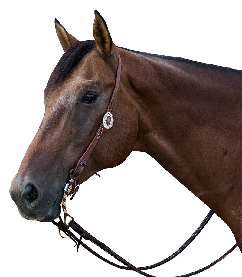 NRS TACK Headstall with a Single Sunflower Buckle