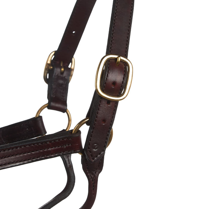 NRS Tack Triple Stitched 1 1/8in Track Halter w/ Fixed Chin