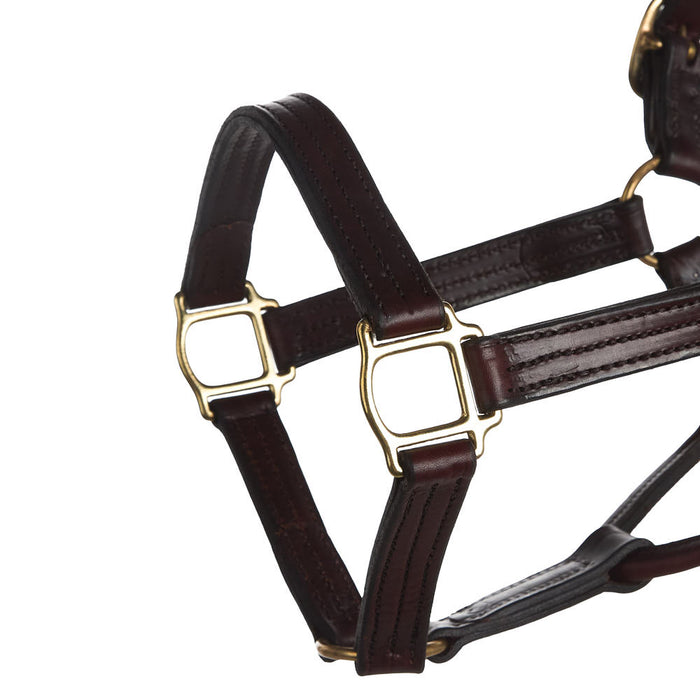 NRS Tack Triple Stitched 1 1/8in Track Halter w/ Fixed Chin