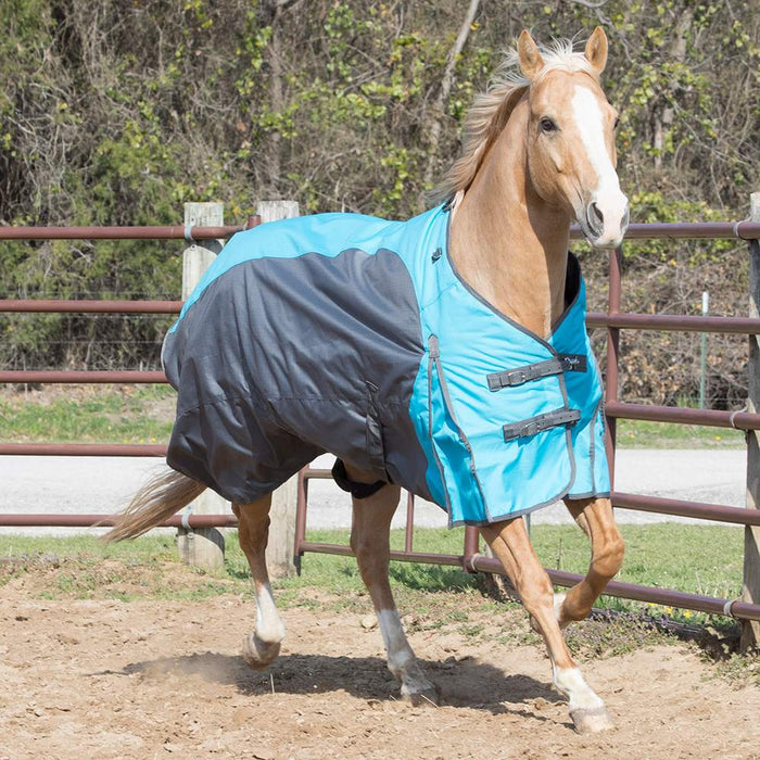 NRS New Turnout Horse Blanket