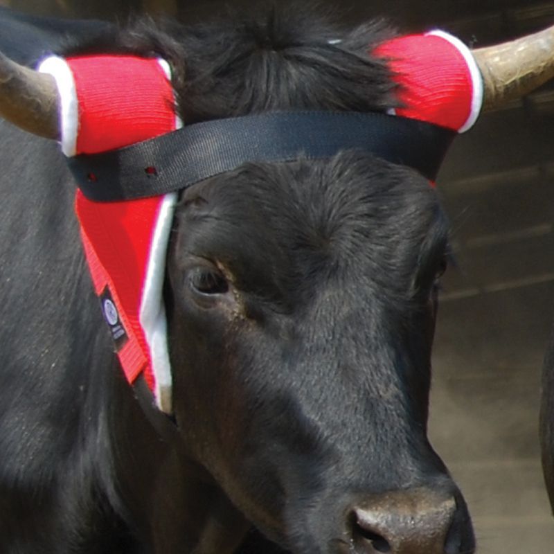 NRS Tack Extreme Horn Wrap