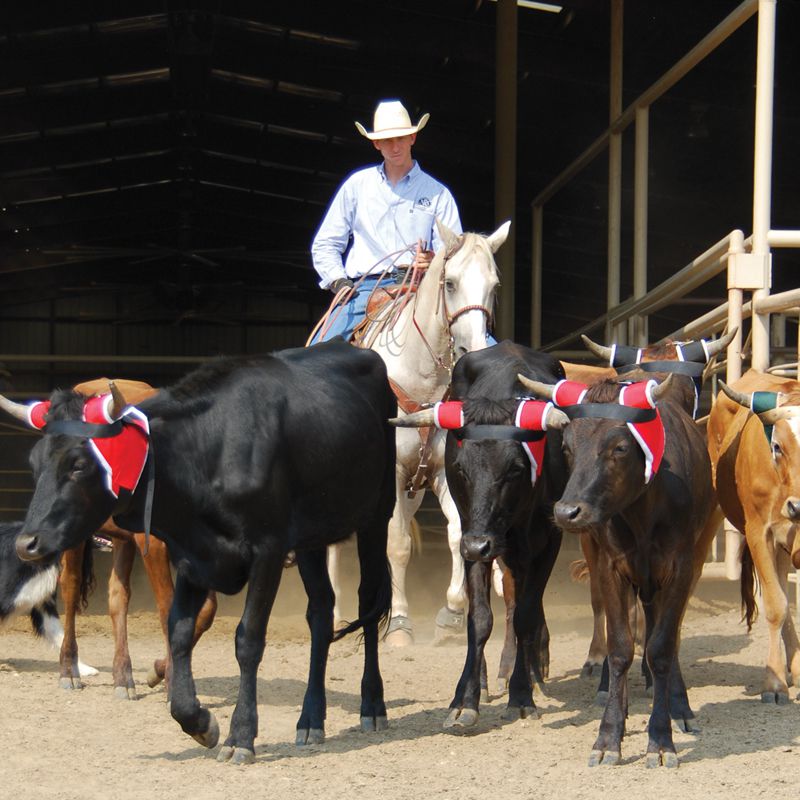 NRS 7-Plait Saddle Horn Wrap - Polyester Rope Protection For Western Saddles