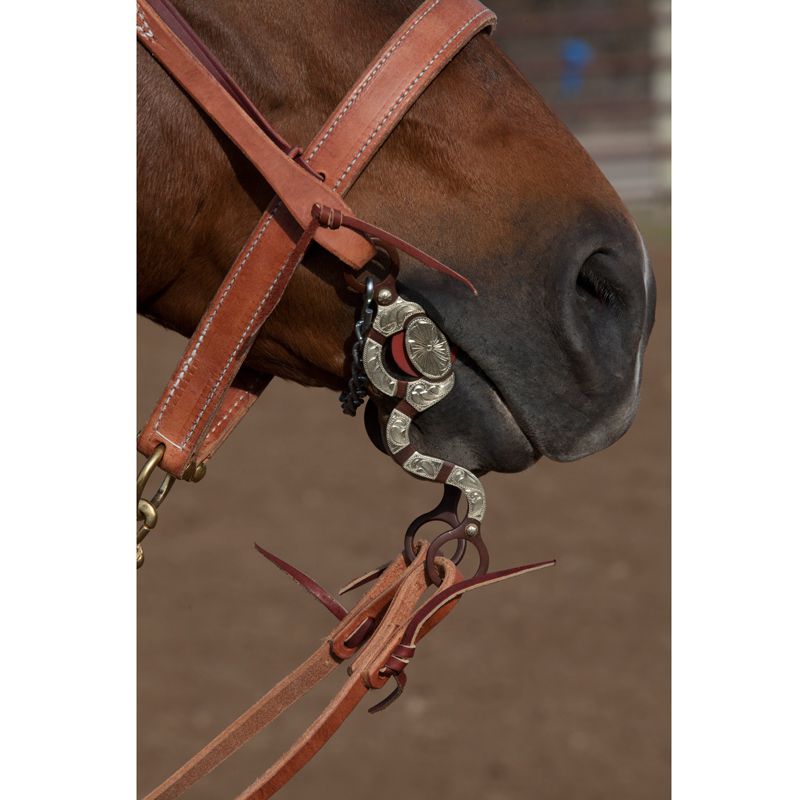 Blessing Bits Large Port 8 Inch Chain Bit
