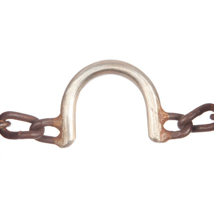 Blessing Bits Antique S-Style Chain Port Bit