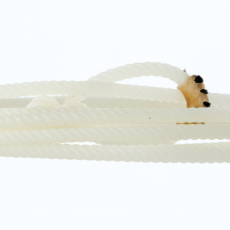Cactus Ropes Hooey OG 37ft Heel Rope