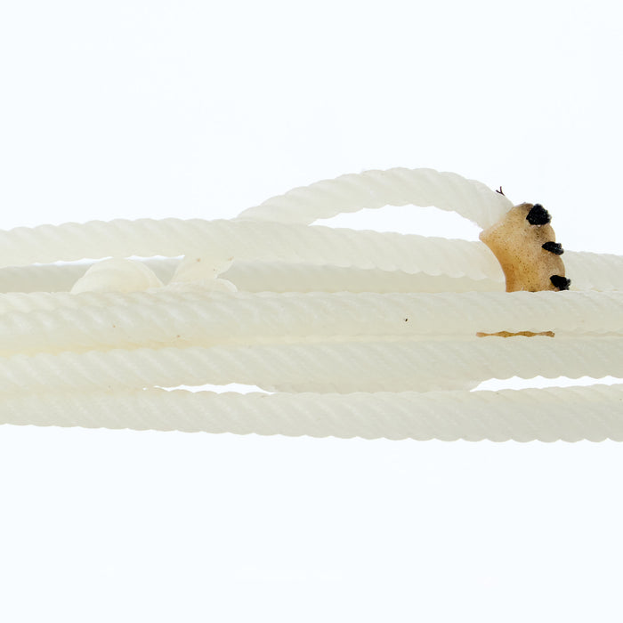 Heel Support Rope Cactus Ropes Hooey OG 37ft Heel Rope